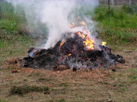 9359_1553251146_legalburnpile