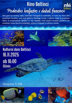 580990093_1173683948195540_750704762537375022_n