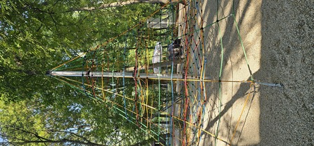 20260811_082613